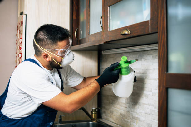 Best Commercial Pest Control Services  in Anoka, MN