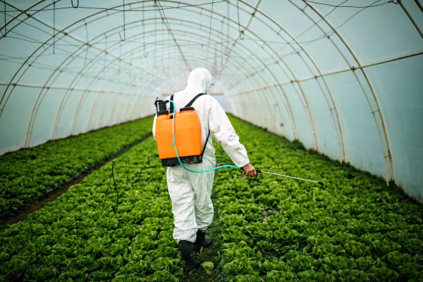 Best Local Pest Control Services  in Anoka, MN