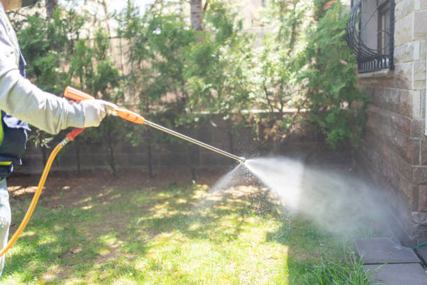 Best Local Pest Control Services  in Anoka, MN