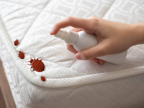 Pest Prevention Services in Anoka, MN
